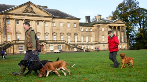 Visitors walking their dogs outside Nostell house in Autumn
